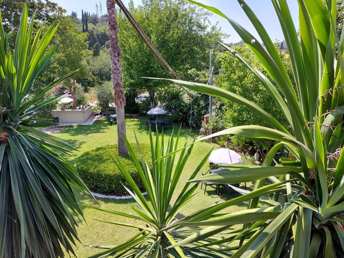Niki Thalia Corfu Viros Apartment 1 Kastania  Bagian luar foto